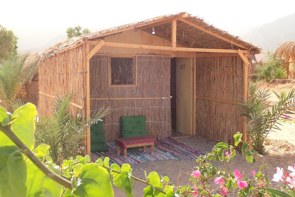 Bedouin Star Hotel Taba Exterior foto