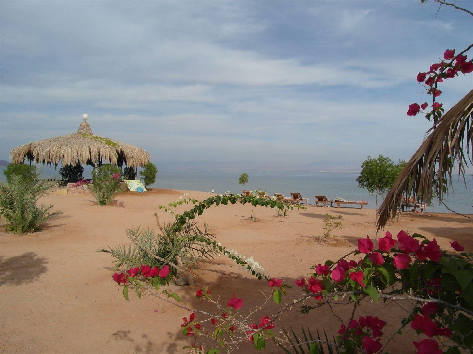Bedouin Star Hotel Taba Exterior foto
